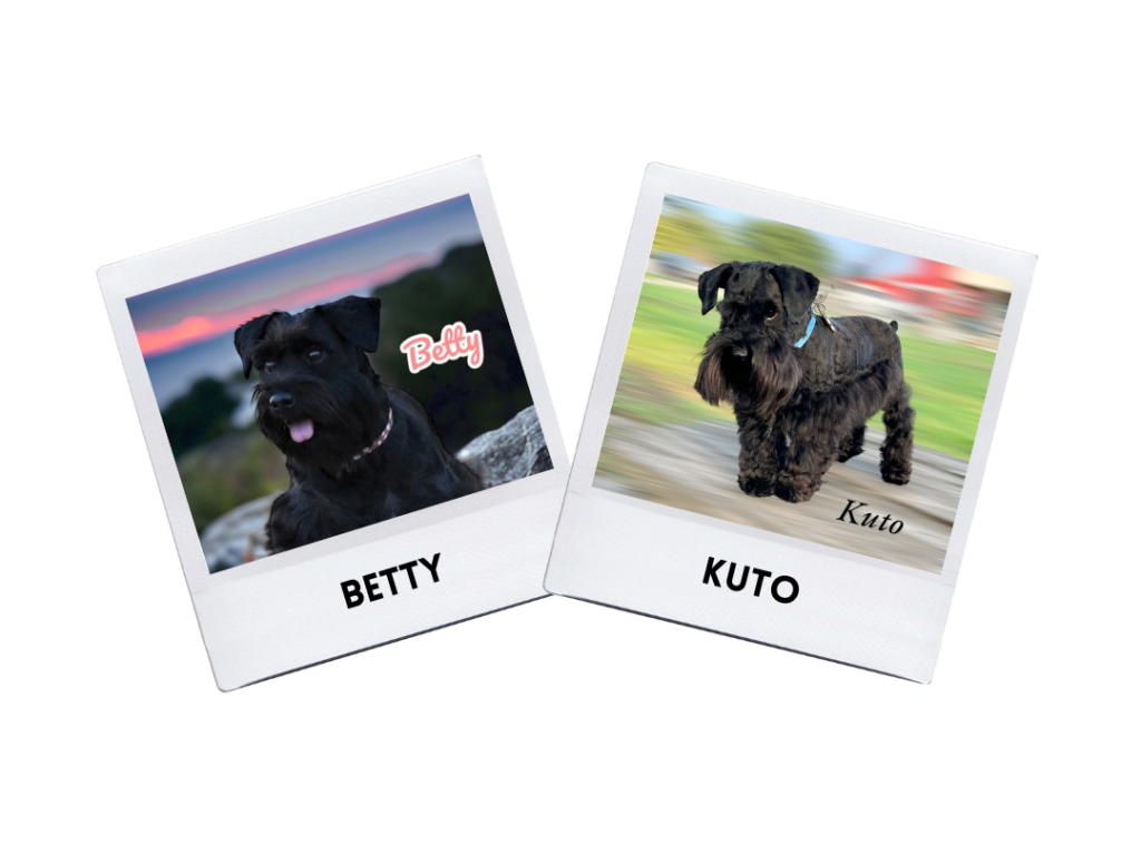 Betty & Kuto Puppies 6/27/24.